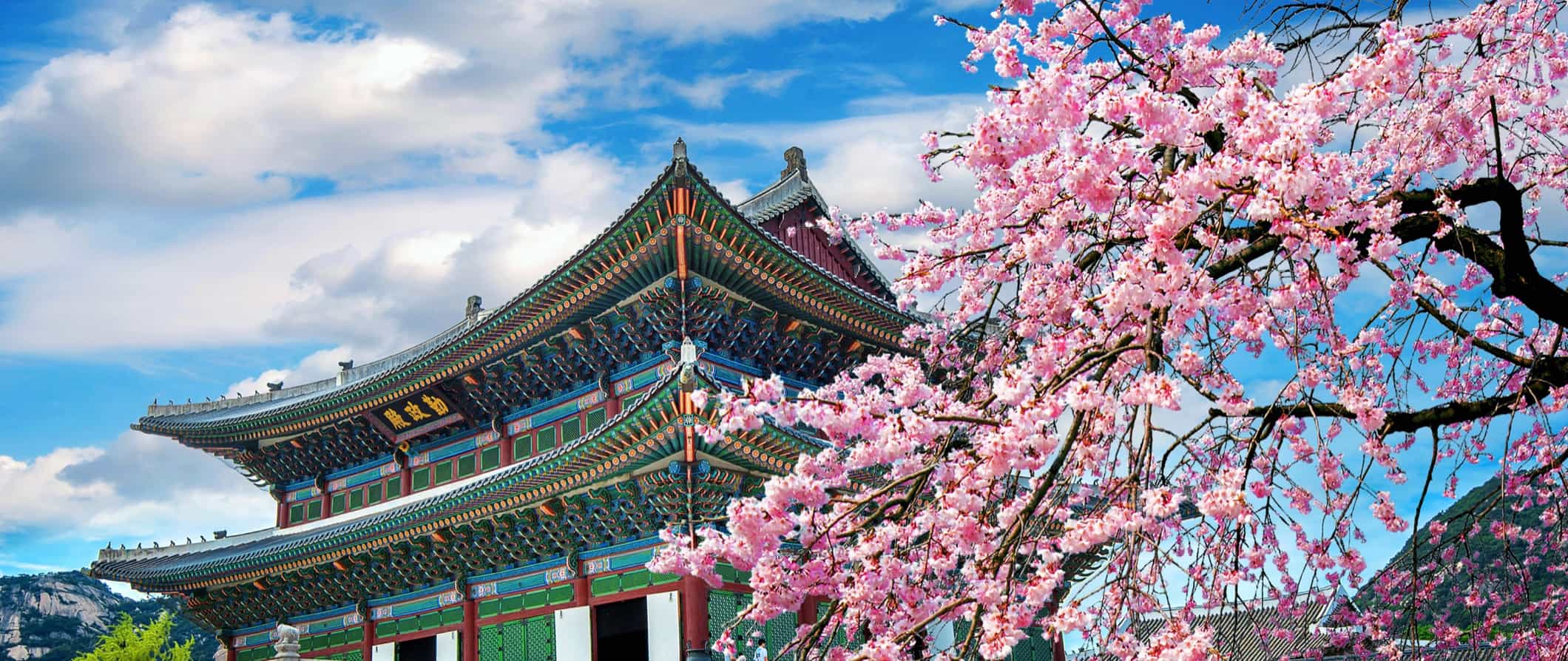 韓國旅遊：現代與傳統的完美融合